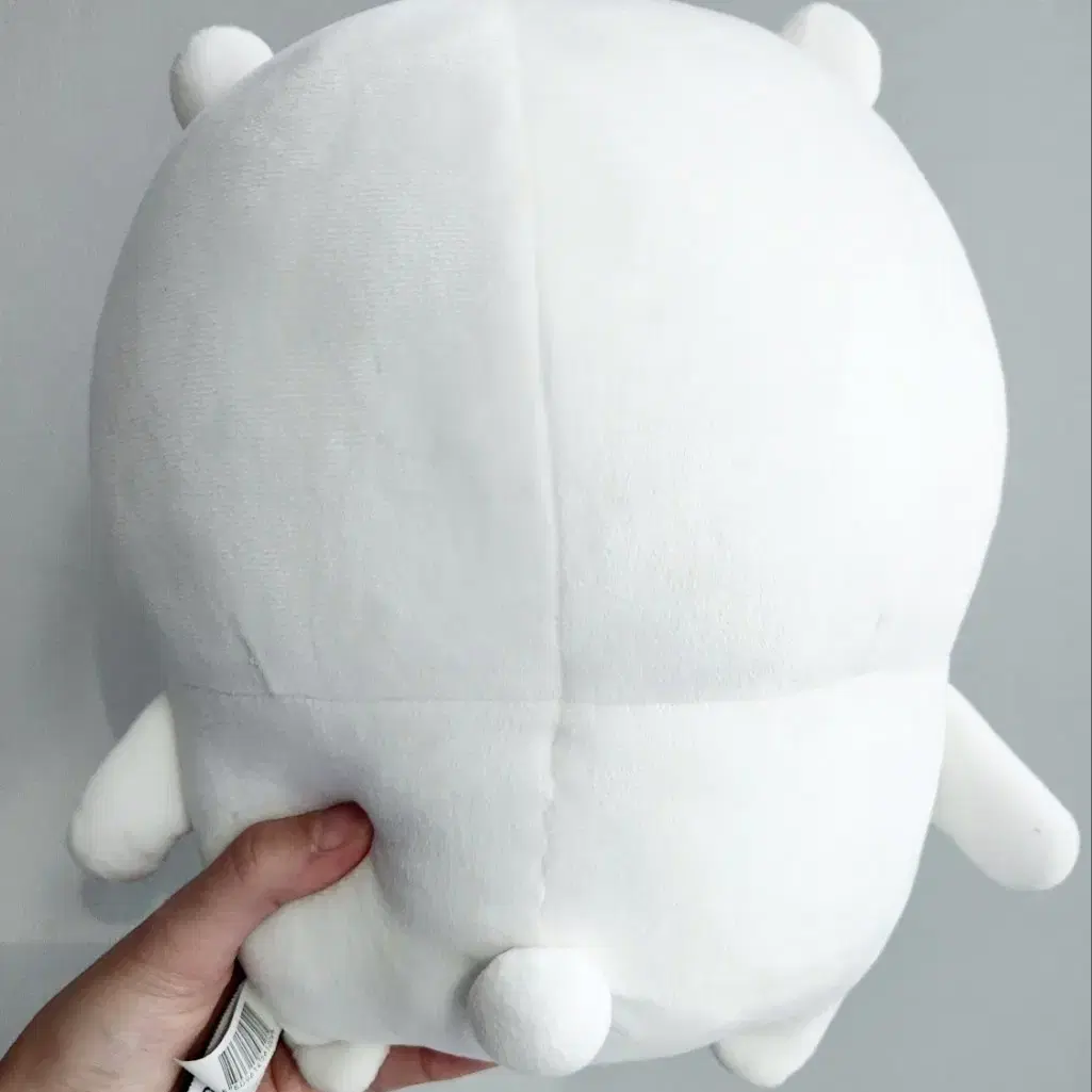 비플랏 기본 농담곰