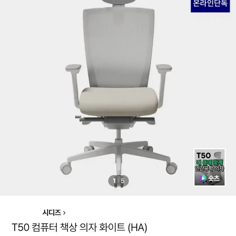 시디즈 T50 24년 리뉴얼 최신형 화이트쉘 메쉬의자