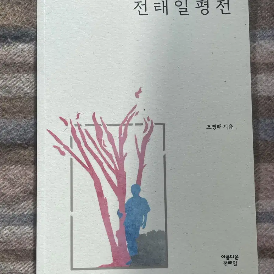 전태일 평전