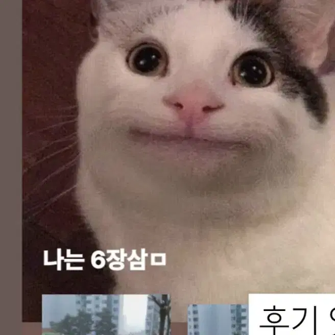 아이브 포카