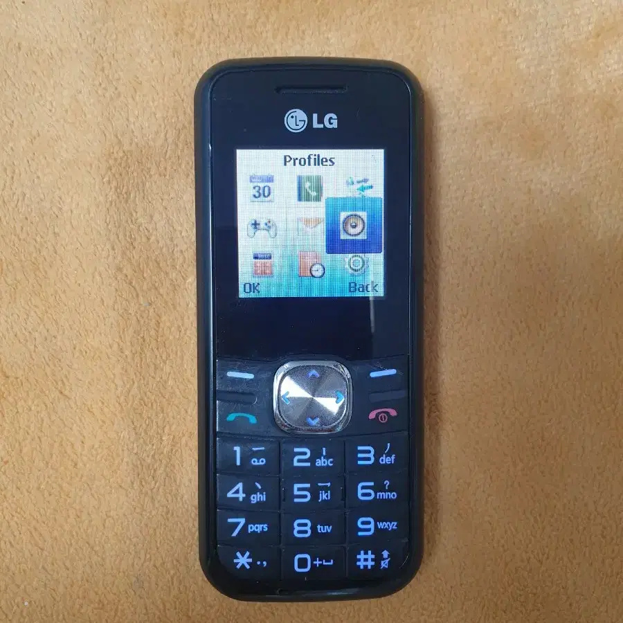 LG  GS101 해외용폰