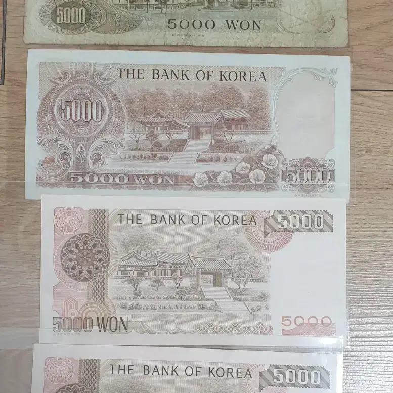 5처원구권 4장