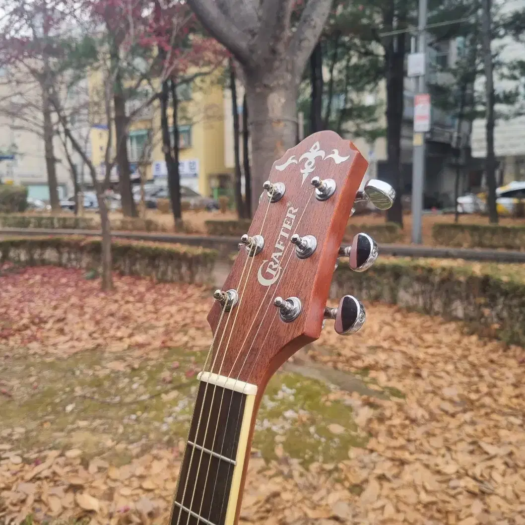 한국산 크래프터 입문용 인기제품 D바디 통기타 판매합니다