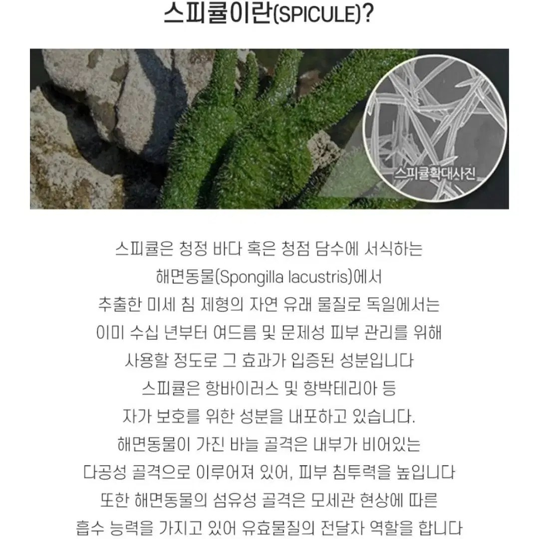 업센다 부녀팩 마스크팩