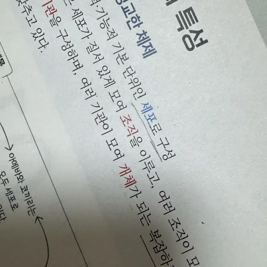 (일괄) 메가스터디 러셀 이석준T 생명과학1 교재