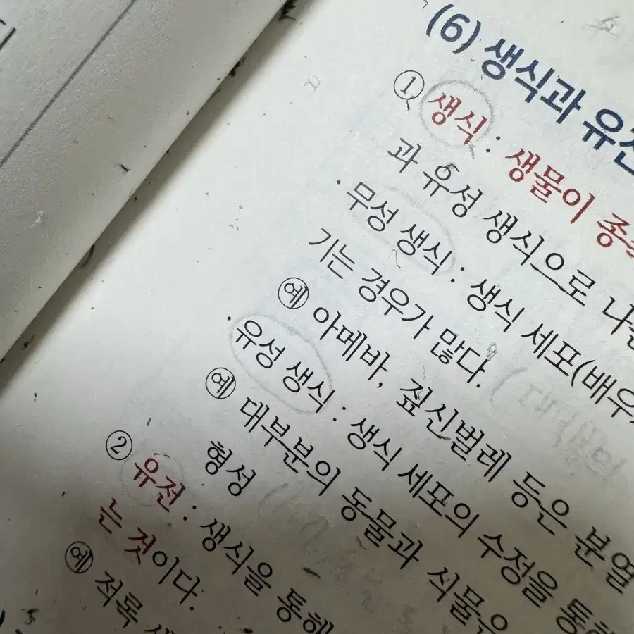 (일괄) 메가스터디 러셀 이석준T 생명과학1 교재