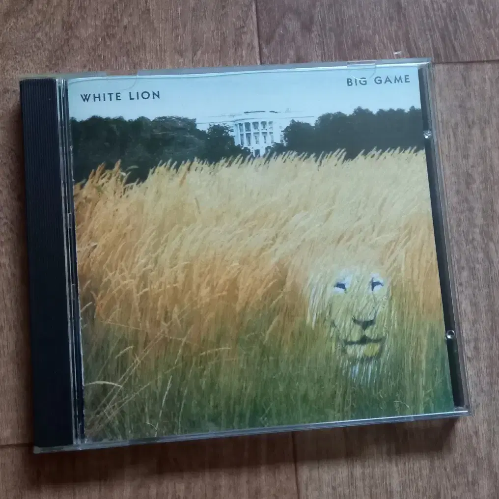 white lion cd 화이트라이온