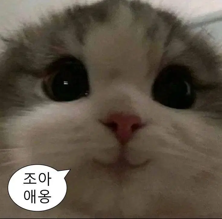 포장 용품 랜박