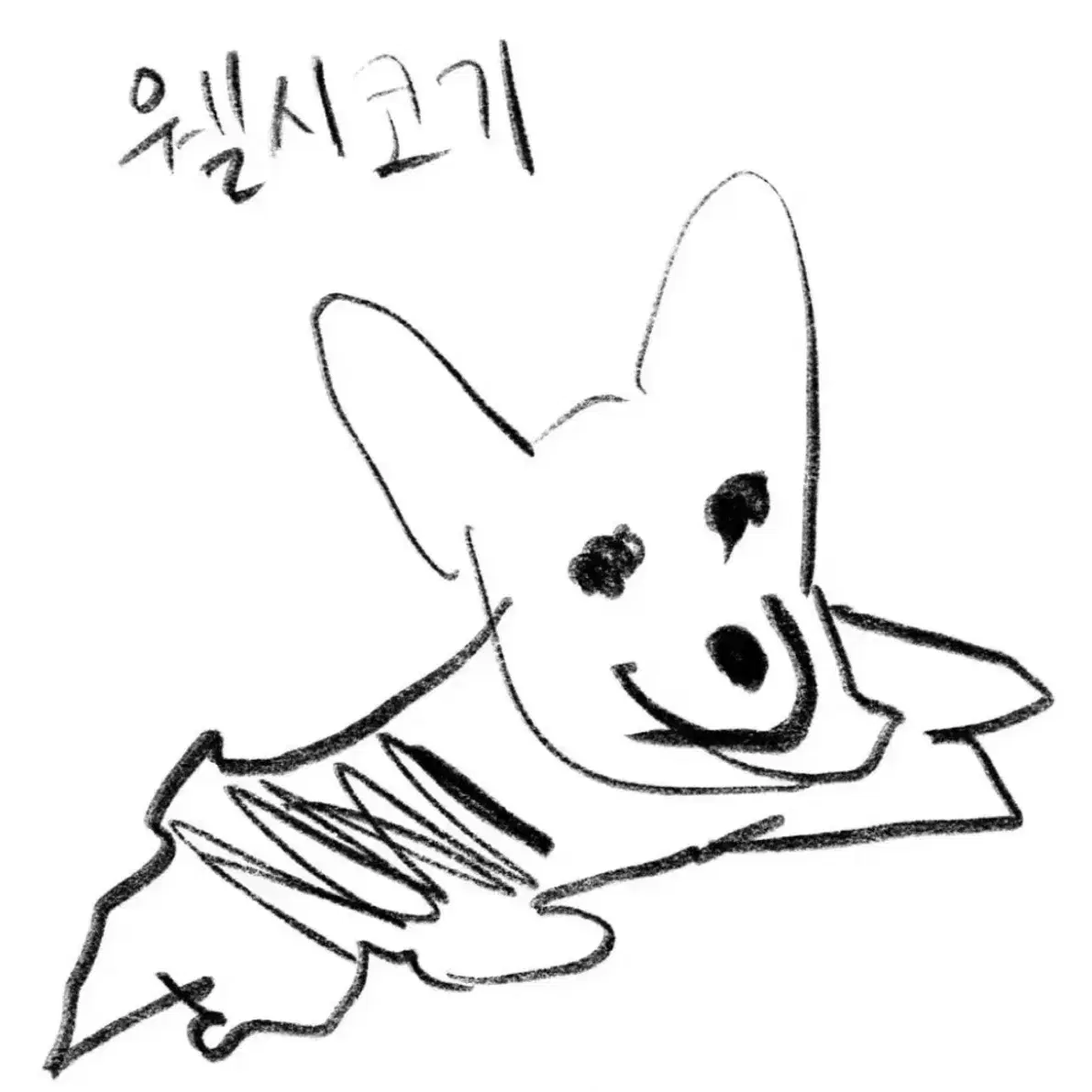 곽석철 - WelShCoRGi