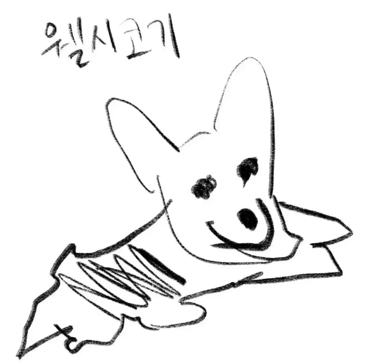 곽석철 - WelShCoRGi