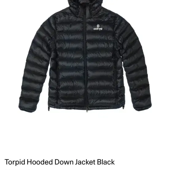 오스트리야 ostrya torpid hooded down jacket