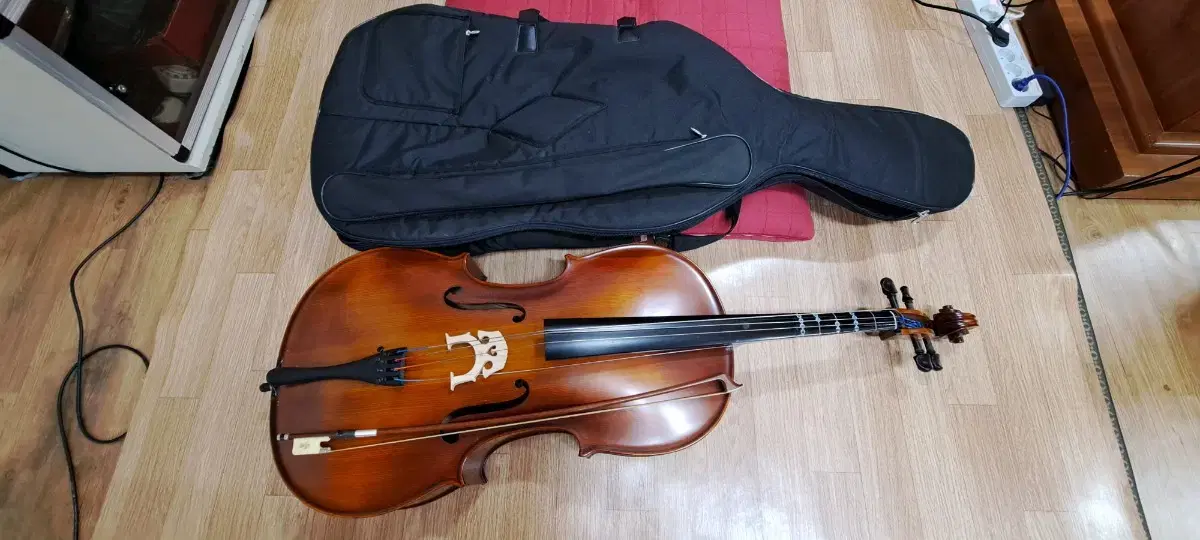 Adult practice cello