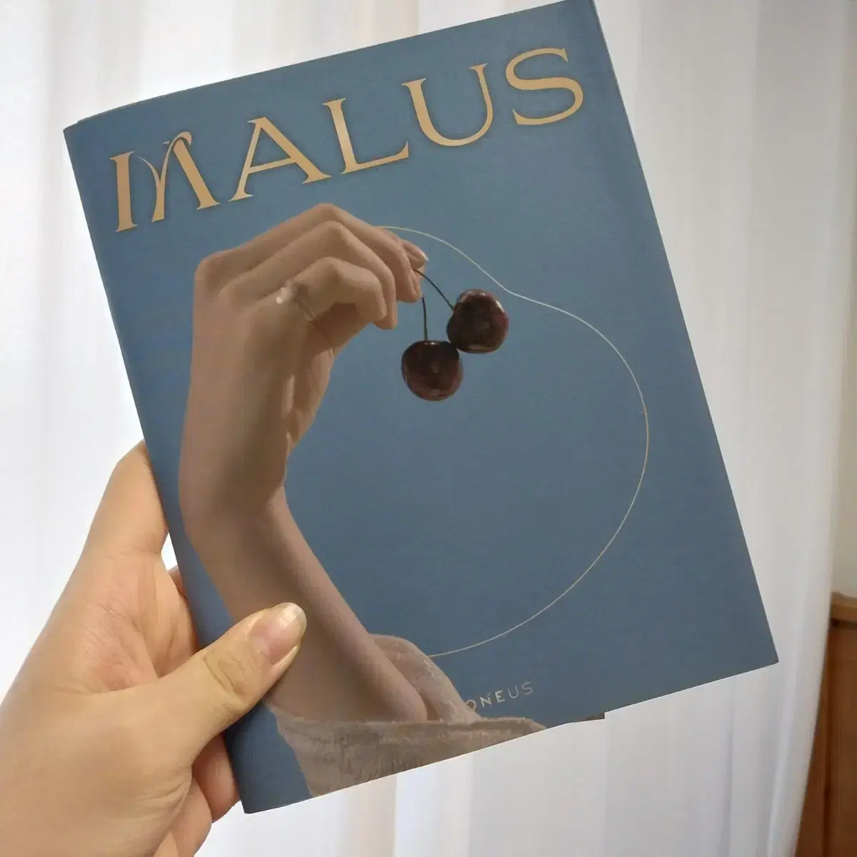 원어스 시온 malus 사진집