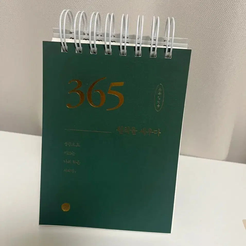 365 원칙을세우다