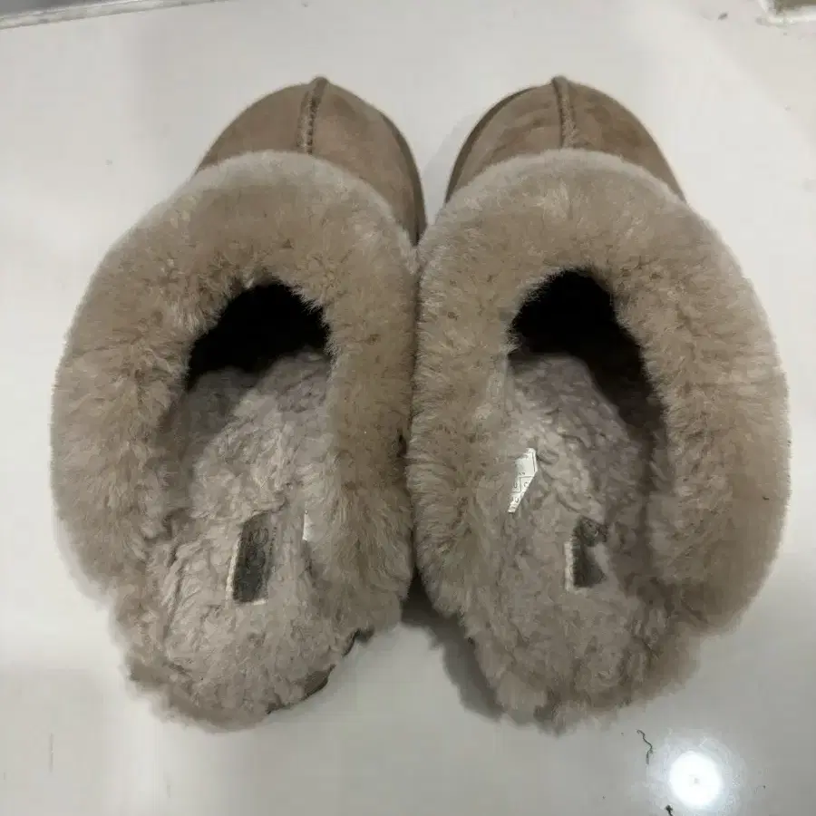 어그 UGG 양털 뮬 슬리퍼 240 사이즈