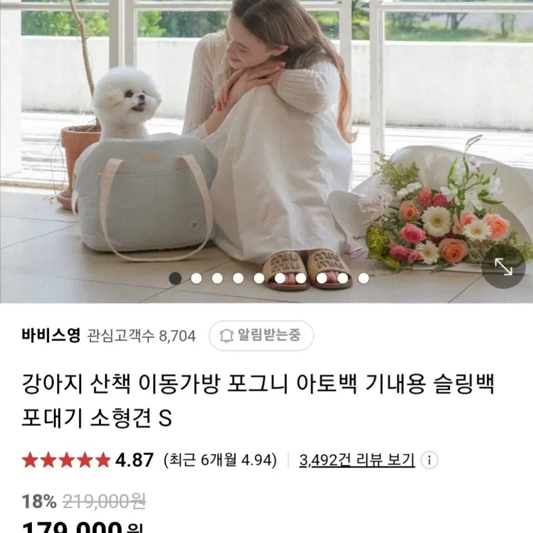 애견 이동가방 슬링백 바비스영 아토백