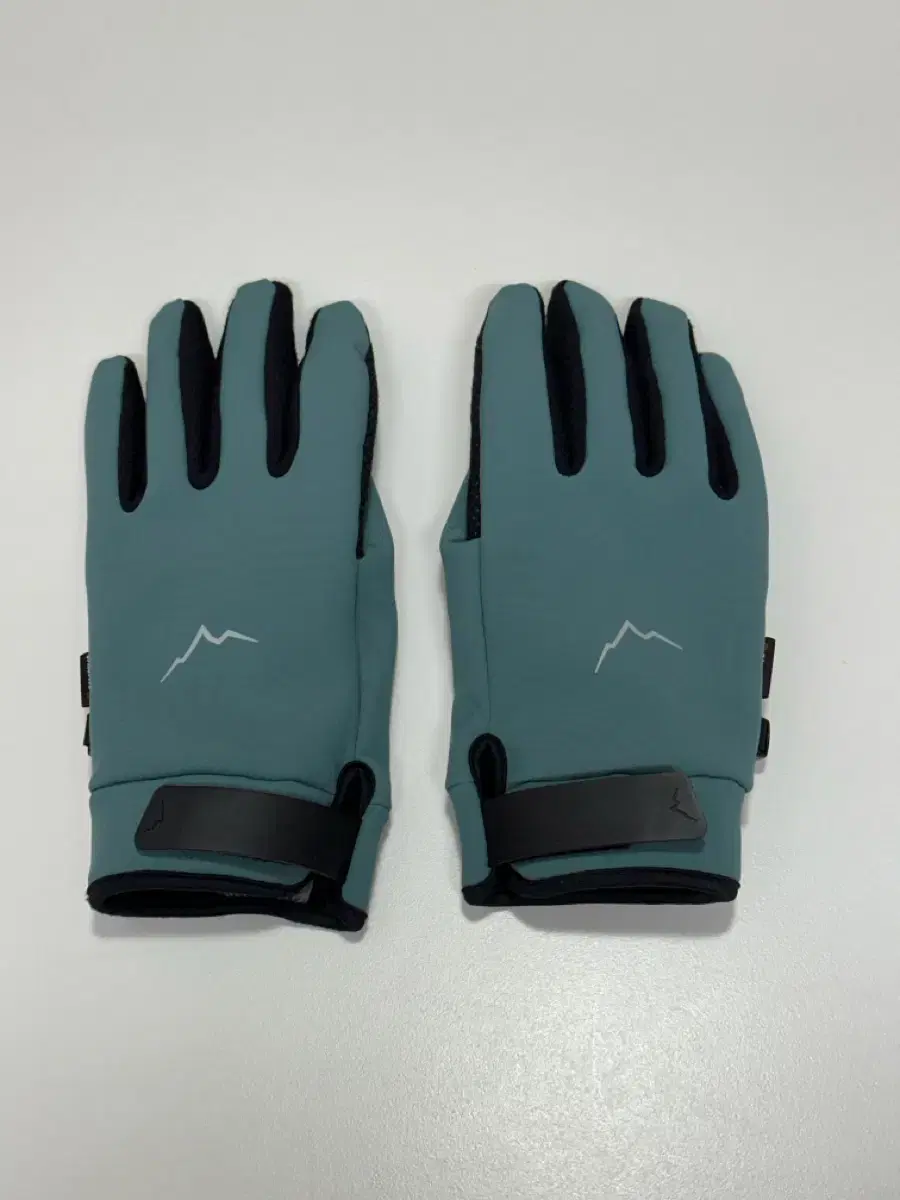 케일 장갑 double layer glove / teal