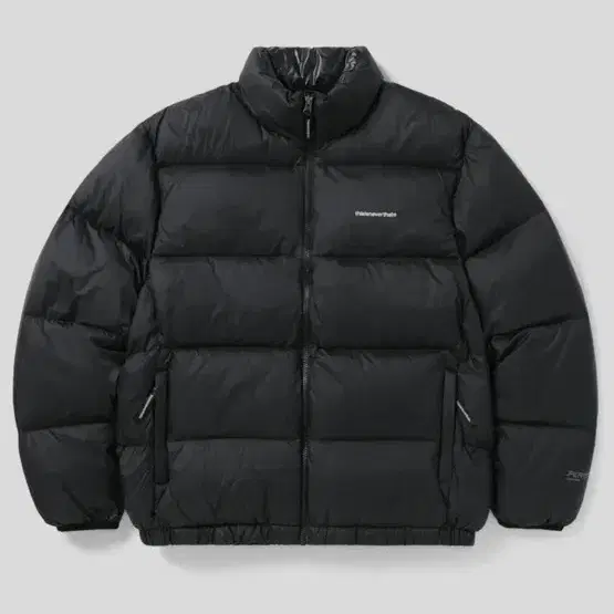 디스이즈네버댓 PERTEX T Down Jacket Black