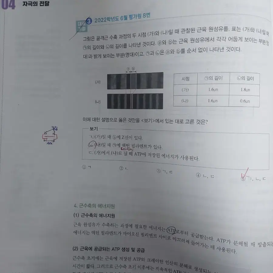 [생명과학l|한종철t] 2025 철두철미 개념완성+필기노트 2권