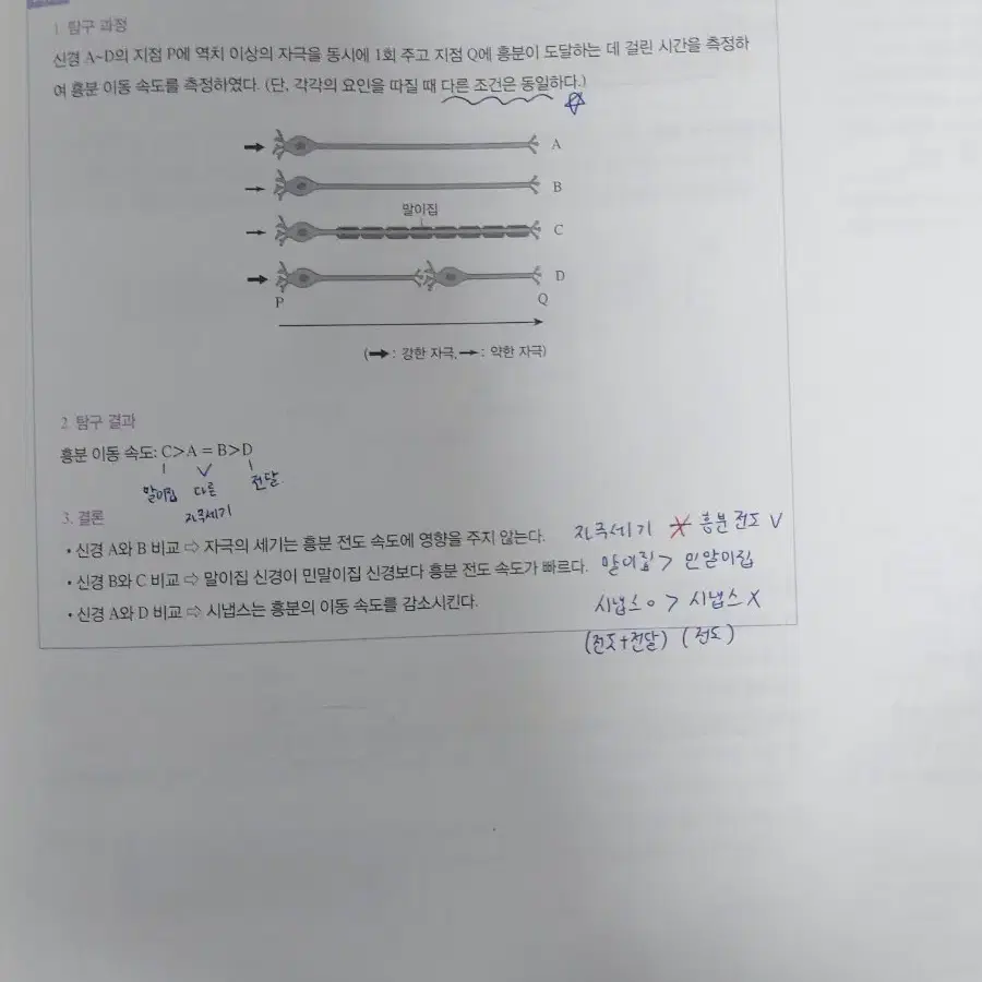 [생명과학l|한종철t] 2025 철두철미 개념완성+필기노트 2권