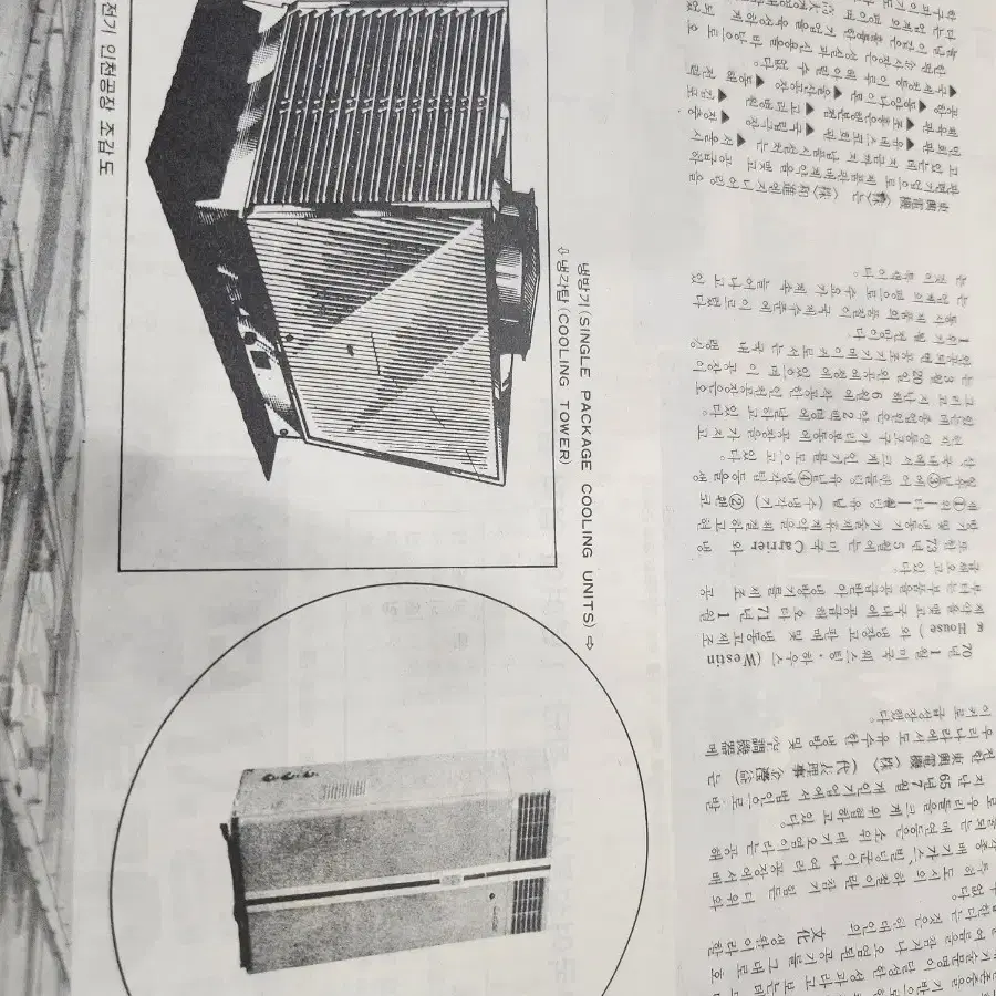 대한 잡지 1977년 3월호