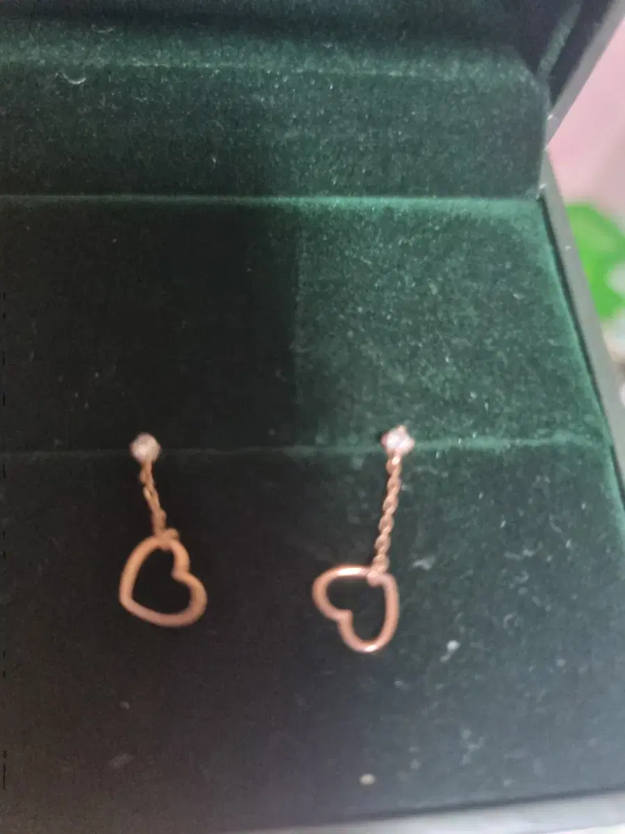 Lloyd 10k earrings