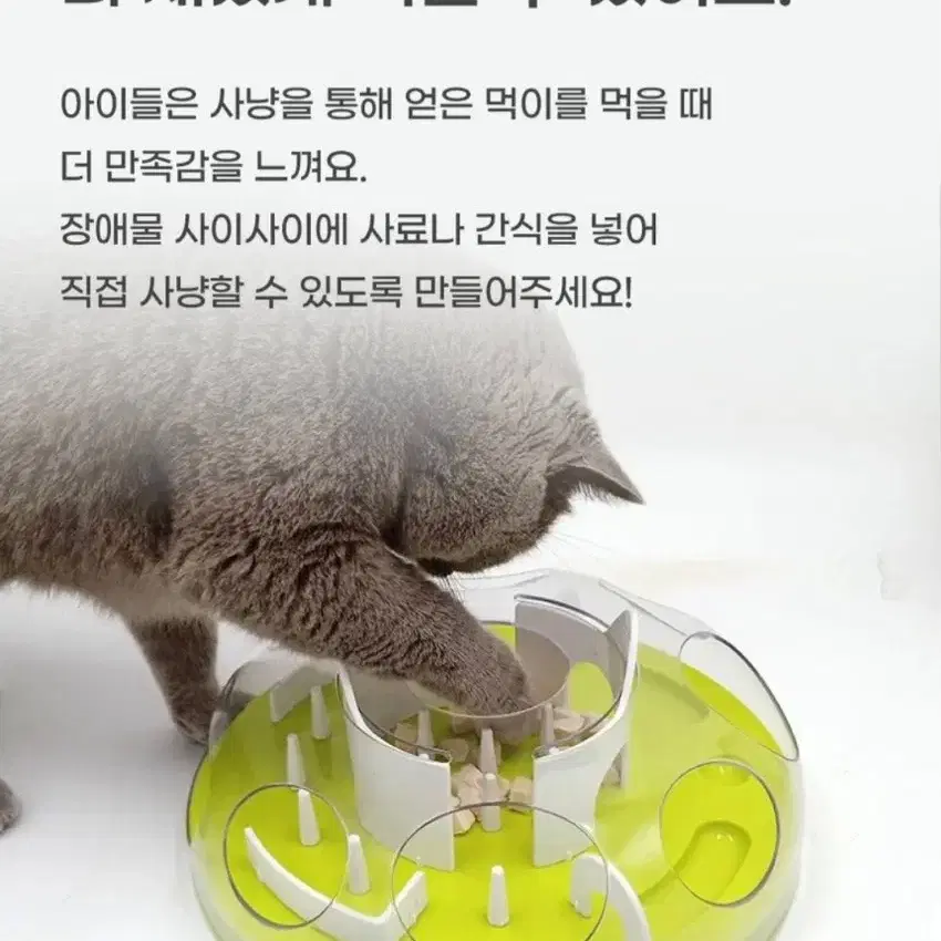 고양이 먹이퍼즐 장난감 그린