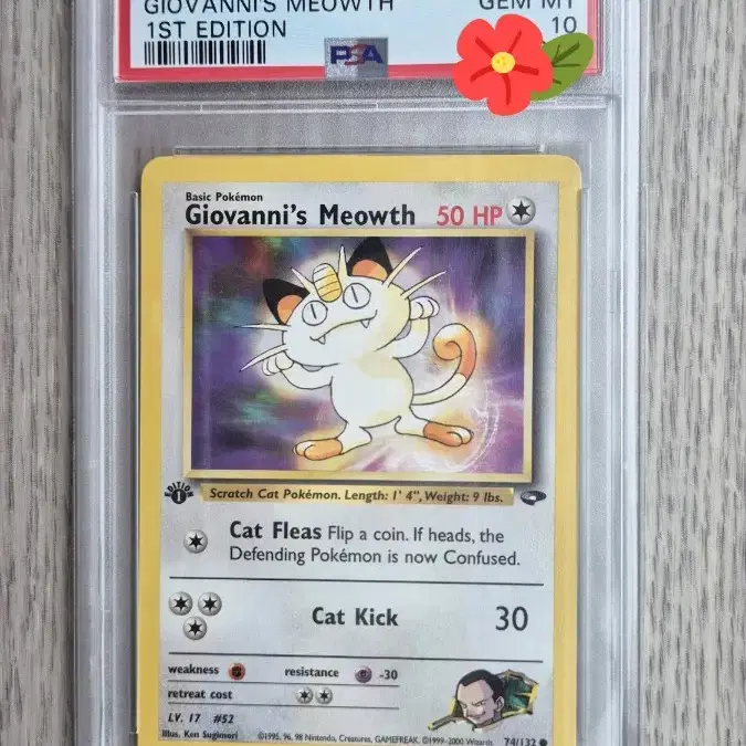 1st edition 초판 북미판 포켓몬카드 비주기의나옹 PSA10