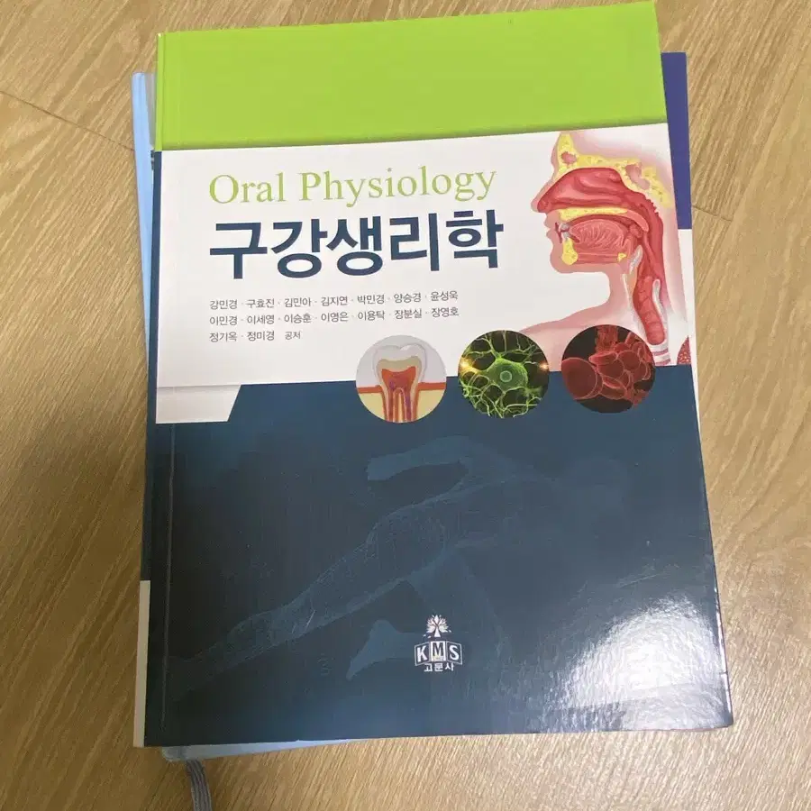 구강생리학 고문사