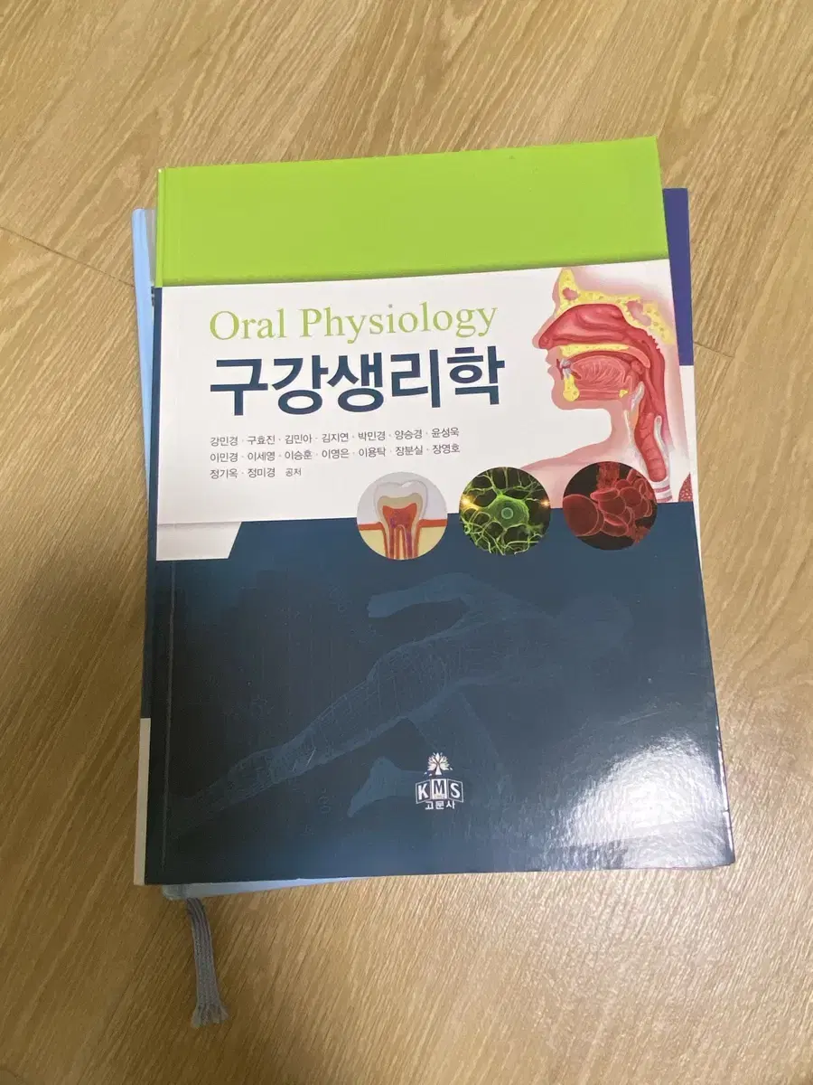 구강생리학 고문사