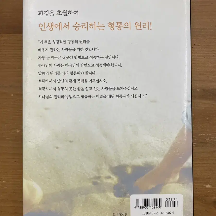 형통의 원리를 상속하라 - 강준민