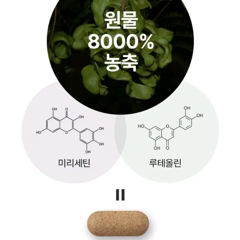 스키니랩 다이글로핏 다이어트