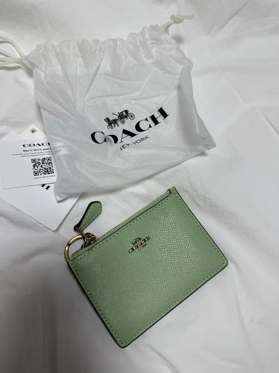 Coach Mint Green Skinny Case Kards Wallet