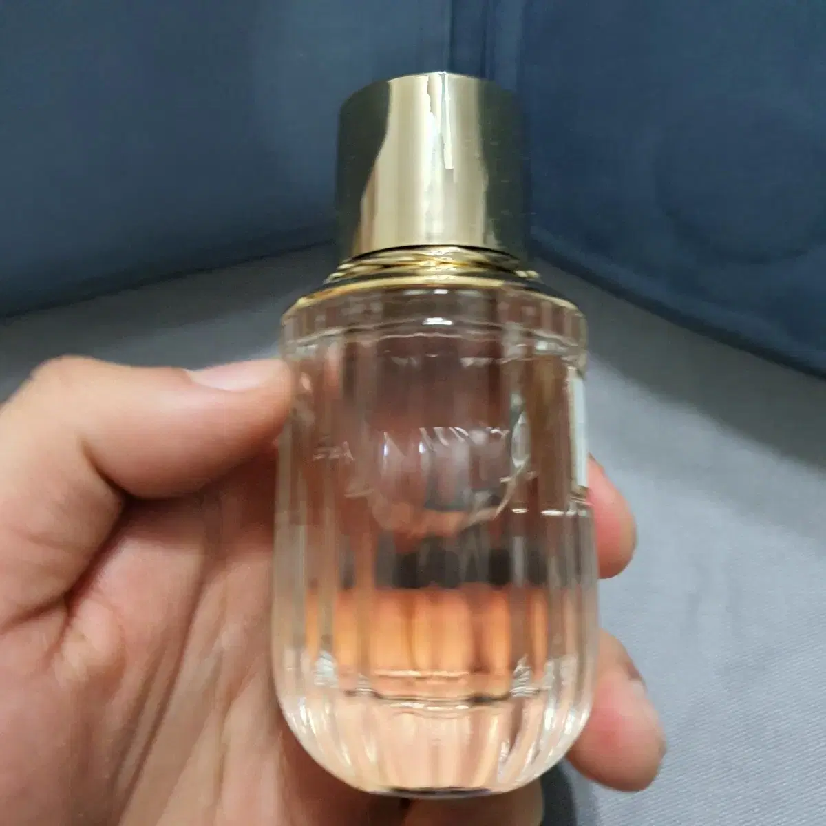 에스티로더 블러싱 샌즈 EDP 40ml 향수 (39)