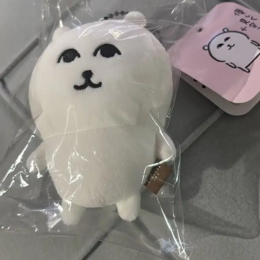 나가노 부드러운눈빛담곰