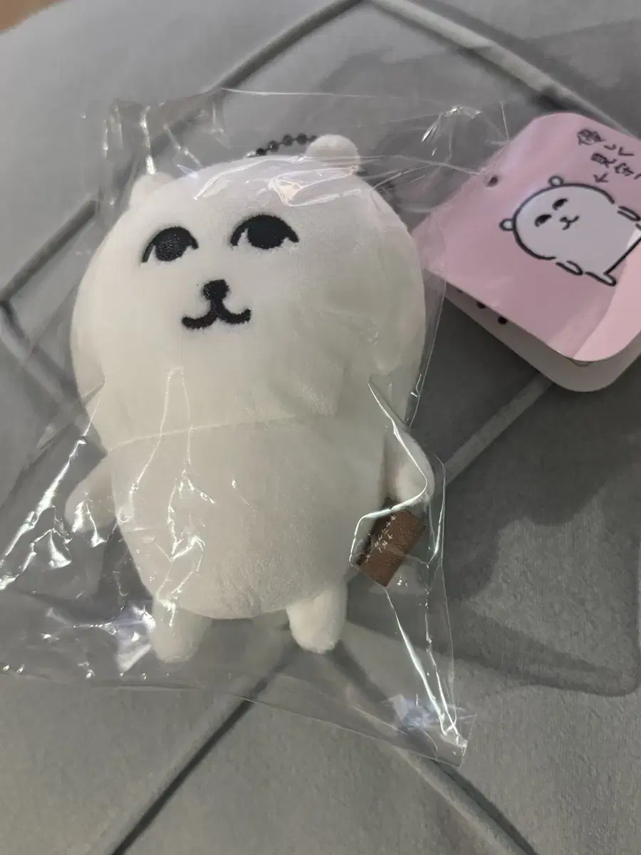 나가노 부드러운눈빛담곰