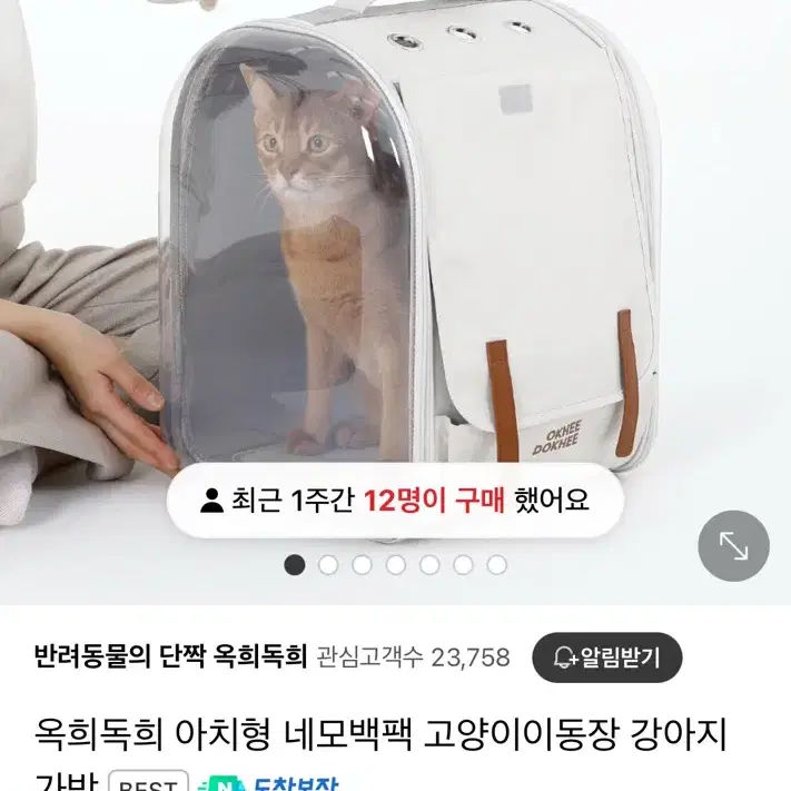 옥희독희 강아지 고양이 이동장