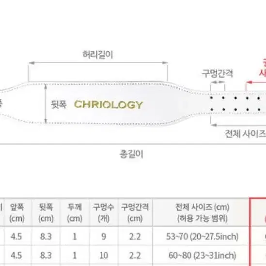 크리오로지 벨트 M사이즈 S급팝니다