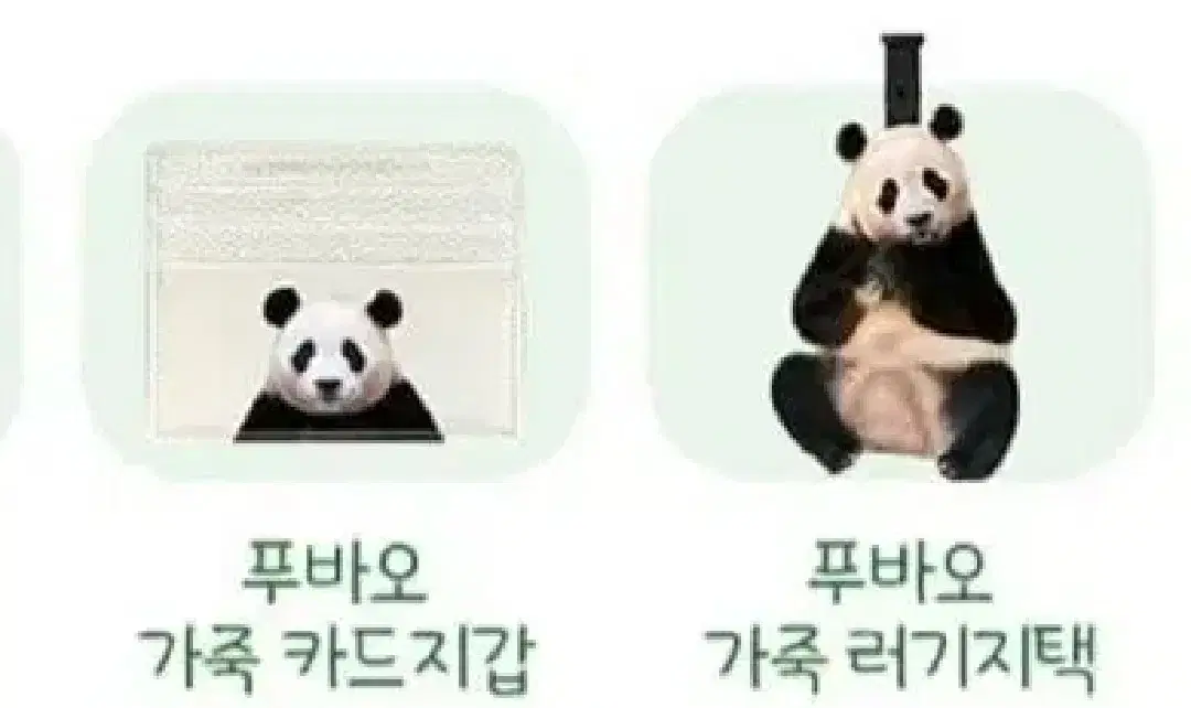 푸바오. 카드지갑 러기지텍