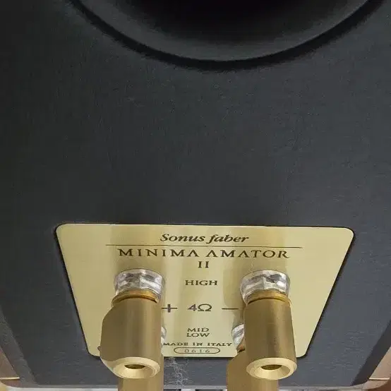 Sonus Faber Minima Amator 2 스피커