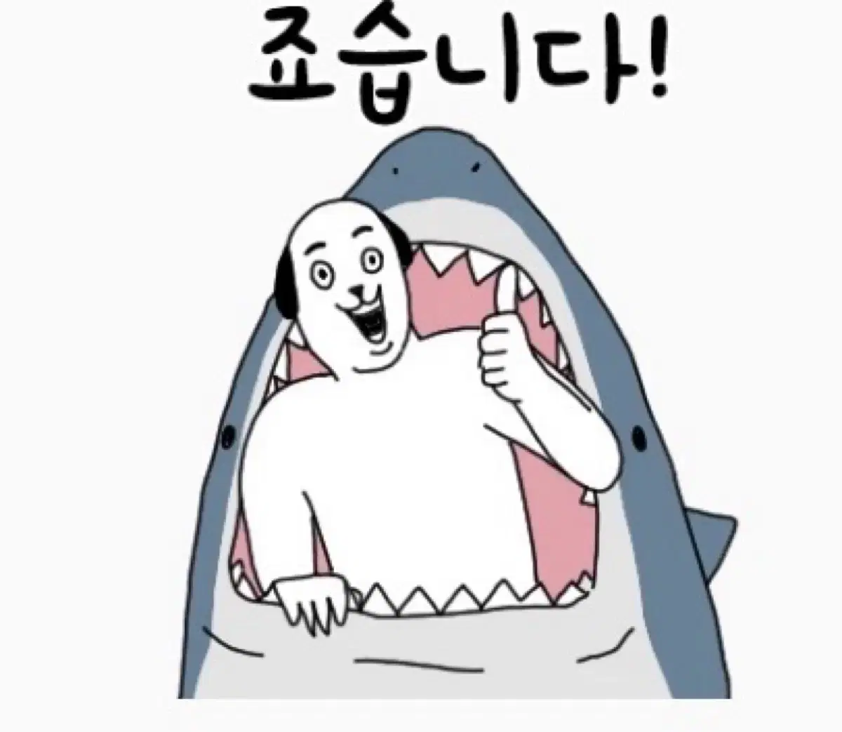 노스페이스 맥머도 해외판 파카 블랙 L(패딩)