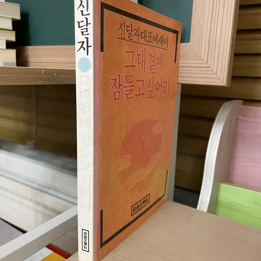 그대 곁에 잠들고 싶어라 (초판) - 신달자