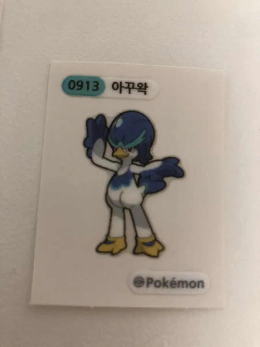 0913 아꾸왁 띠부씰