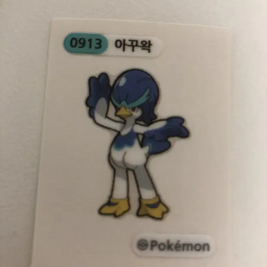 0913 아꾸왁 띠부씰