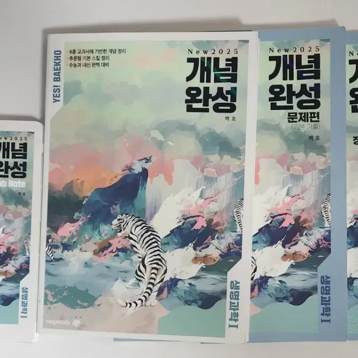 2025 백호 개념완성 set