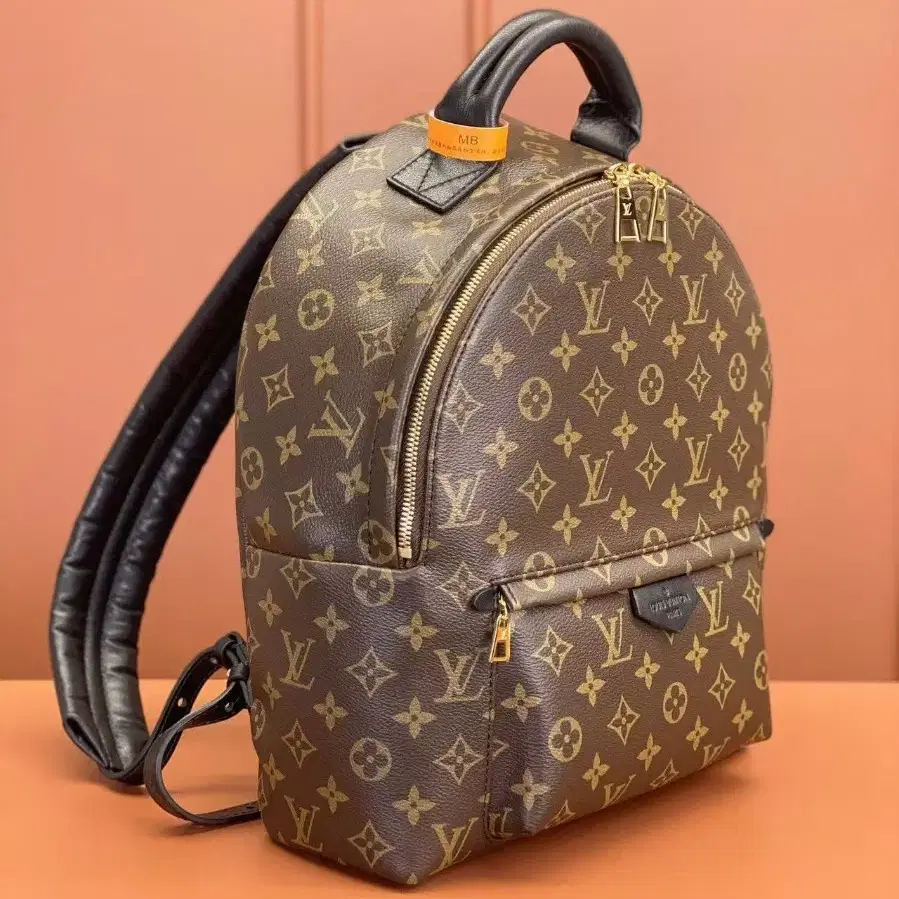 해외 구매LOUIS VUITTON palm springs백팩