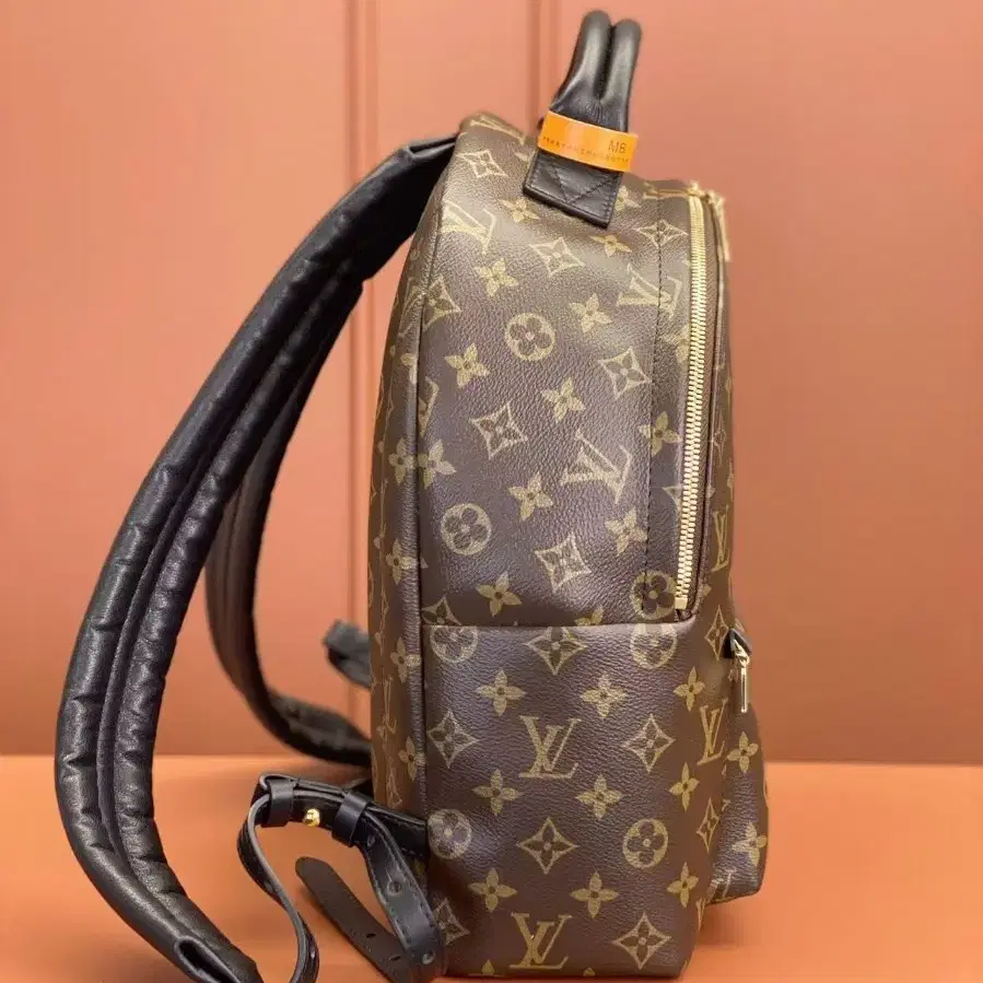 해외 구매LOUIS VUITTON palm springs백팩