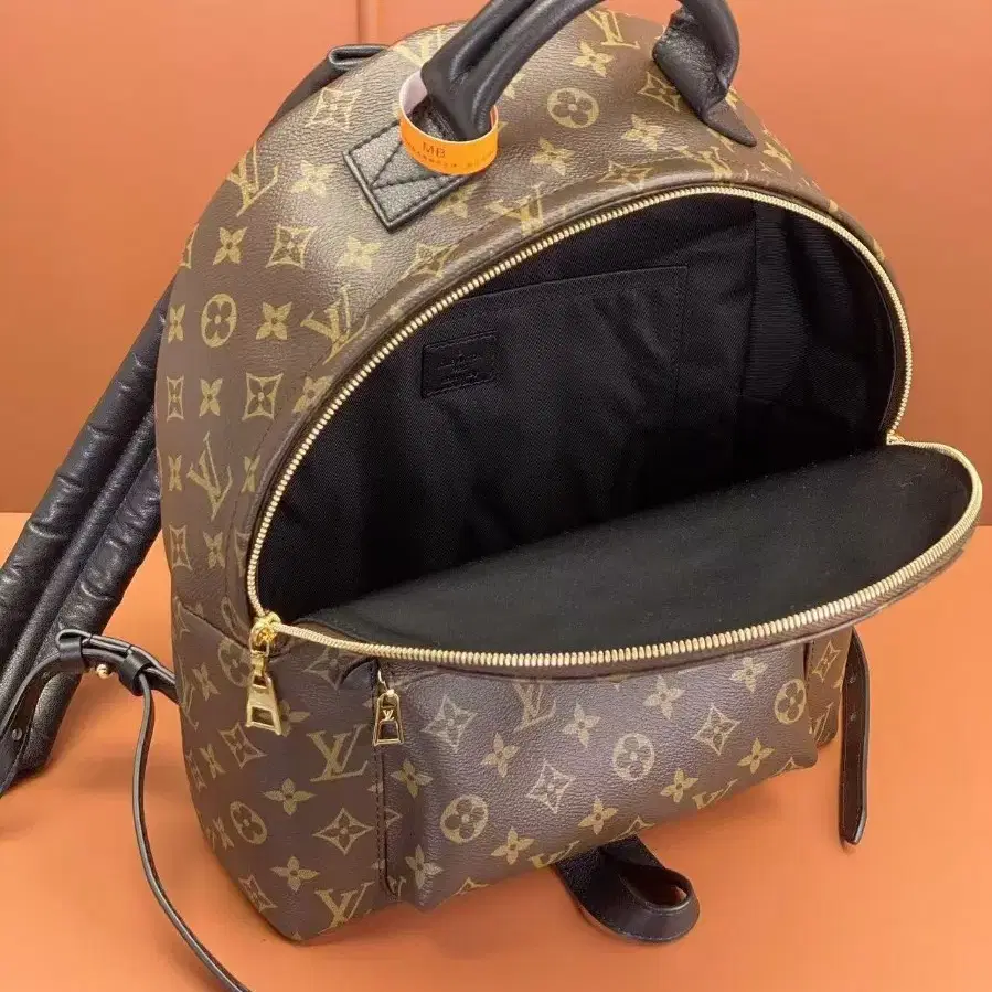 해외 구매LOUIS VUITTON palm springs백팩