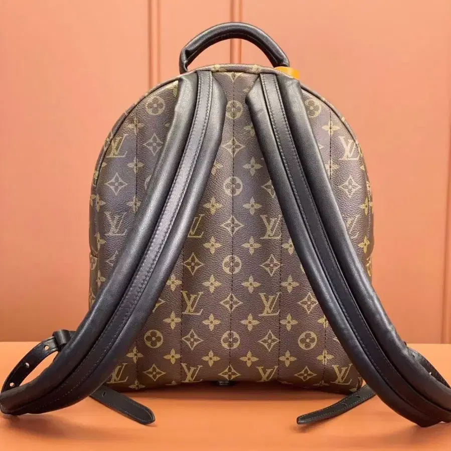 해외 구매LOUIS VUITTON palm springs백팩