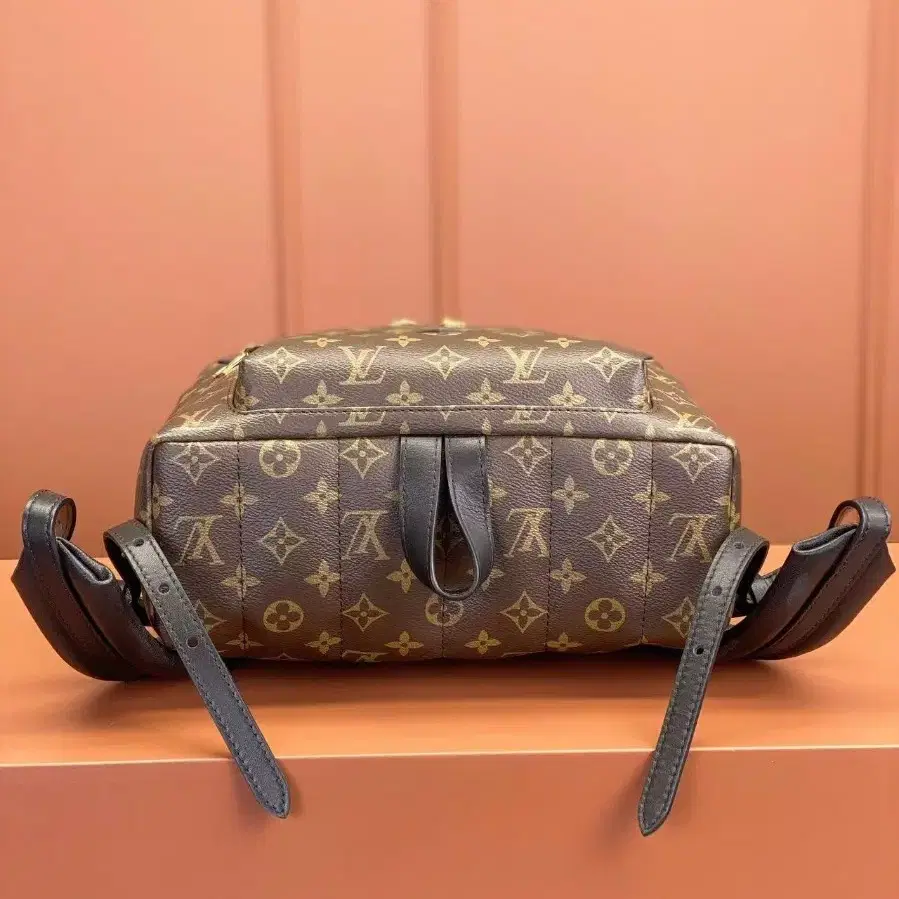 해외 구매LOUIS VUITTON palm springs백팩